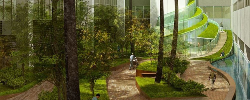 Biophilic plants improves air quality and ventilation in residents.